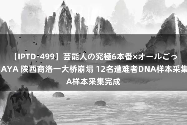 【IPTD-499】芸能人の究極6本番×オールごっくん AYA 陕西商洛一大桥崩塌 12名遭难者DNA样本采集完成