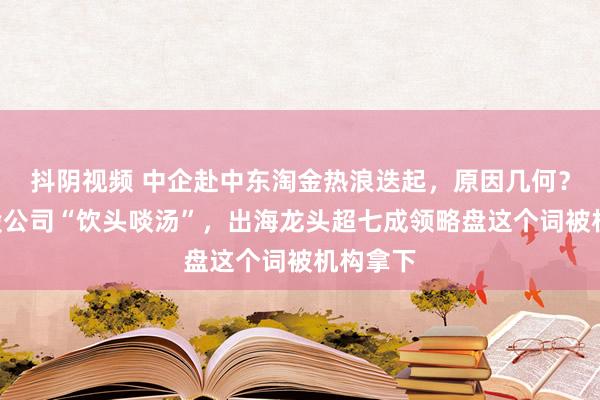 抖阴视频 中企赴中东淘金热浪迭起，原因几何？这些A股公司“饮头啖汤”，出海龙头超七成领略盘这个词被机构拿下