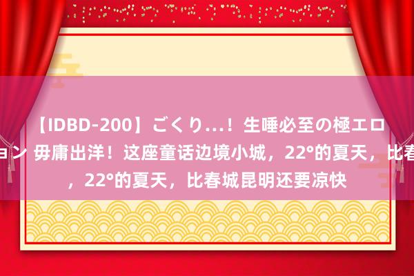 【IDBD-200】ごくり…！生唾必至の極エロボディセレクション 毋庸出洋！这座童话边境小城，22°的夏天，比春城昆明还要凉快