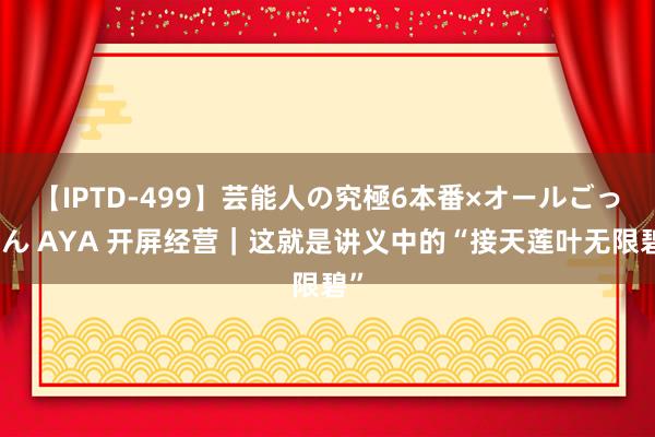 【IPTD-499】芸能人の究極6本番×オールごっくん AYA 开屏经营｜这就是讲义中的“接天莲叶无限碧”