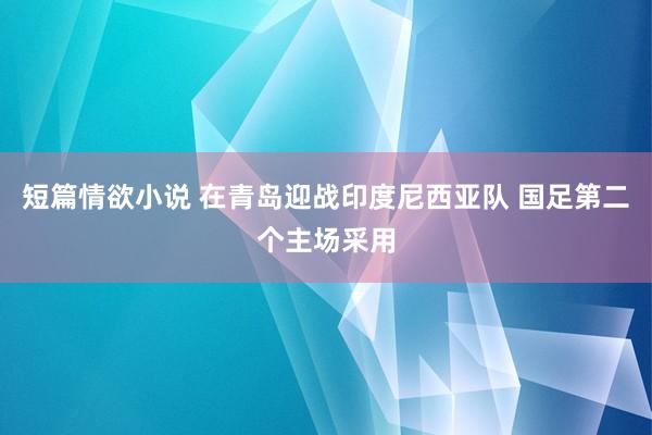 短篇情欲小说 在青岛迎战印度尼西亚队 国足第二个主场采用