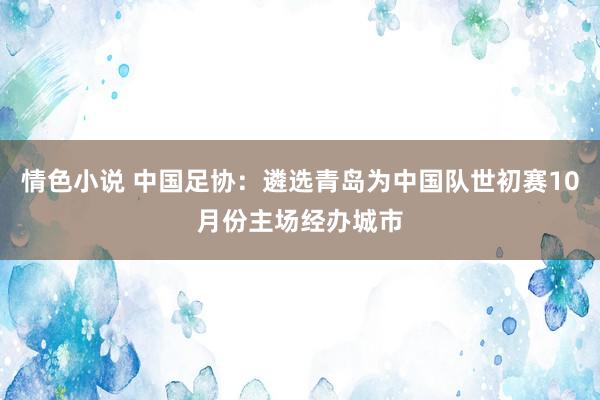 情色小说 中国足协：遴选青岛为中国队世初赛10月份主场经办城市