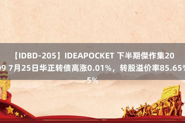 【IDBD-205】IDEAPOCKET 下半期傑作集2009 7月25日华正转债高涨0.01%，转股溢价率85.65%