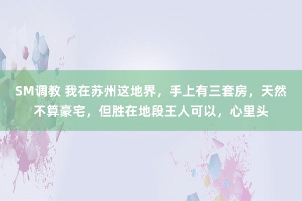 SM调教 我在苏州这地界，手上有三套房，天然不算豪宅，但胜在地段王人可以，心里头