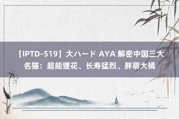 【IPTD-519】大ハード AYA 解密中国三大名猫：超能狸花、长寿猛烈、胖萌大橘