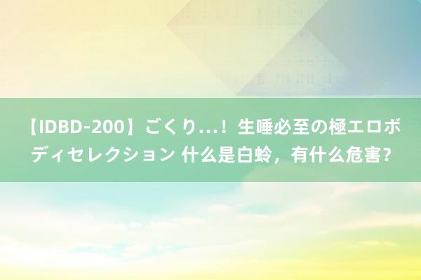 【IDBD-200】ごくり…！生唾必至の極エロボディセレクション 什么是白蛉，有什么危害？