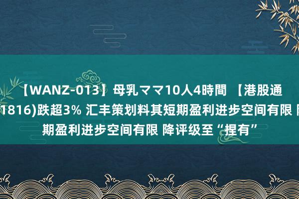 【WANZ-013】母乳ママ10人4時間 【港股通】中广核电力(01816)跌超3% 汇丰策划料其短期盈利进步空间有限 降评级至“捏有”