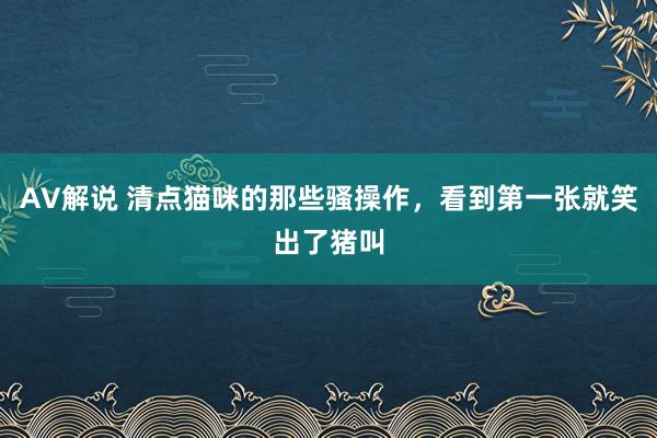 AV解说 清点猫咪的那些骚操作，看到第一张就笑出了猪叫