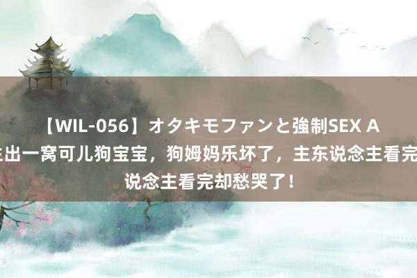 【WIL-056】オタキモファンと強制SEX AYA 二哈生出一窝可儿狗宝宝，狗姆妈乐坏了，主东说念主看完却愁哭了！