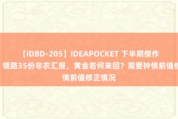 【IDBD-205】IDEAPOCKET 下半期傑作集2009 领路35份非农汇报，黄金若何来回？需要钟情前值修正情况