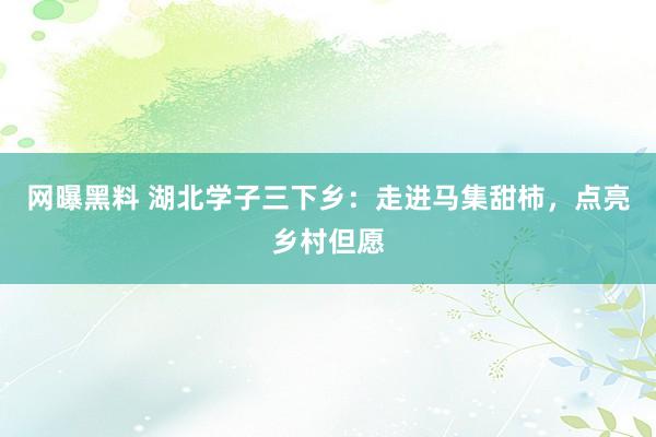 网曝黑料 湖北学子三下乡：走进马集甜柿，点亮乡村但愿