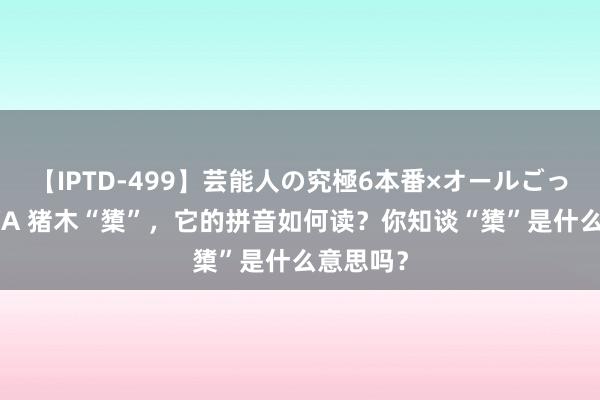 【IPTD-499】芸能人の究極6本番×オールごっくん AYA 猪木“橥”，它的拼音如何读？你知谈“橥”是什么意思吗？