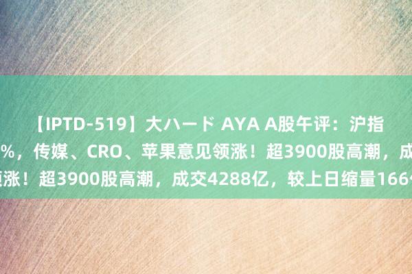 【IPTD-519】大ハード AYA A股午评：沪指接近平收创业板指跌0.19%，传媒、CRO、苹果意见领涨！超3900股高潮，成交4288亿，较上日缩量166亿