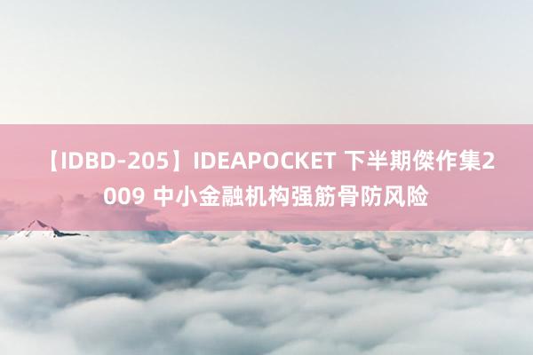 【IDBD-205】IDEAPOCKET 下半期傑作集2009 中小金融机构强筋骨防风险