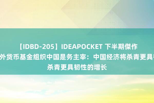 【IDBD-205】IDEAPOCKET 下半期傑作集2009 国外货币基金组织中国是务主宰：中国经济将杀青更具韧性的增长