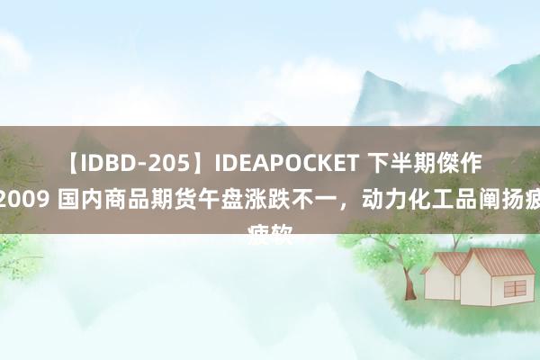 【IDBD-205】IDEAPOCKET 下半期傑作集2009 国内商品期货午盘涨跌不一，动力化工品阐扬疲软