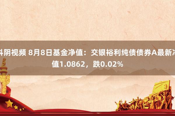 抖阴视频 8月8日基金净值：交银裕利纯债债券A最新净值1.0862，跌0.02%