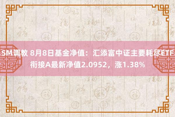 SM调教 8月8日基金净值：汇添富中证主要耗尽ETF衔接A最新净值2.0952，涨1.38%