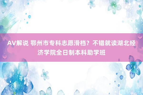 AV解说 鄂州市专科志愿滑档？不错就读湖北经济学院全日制本科助学班