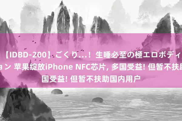 【IDBD-200】ごくり…！生唾必至の極エロボディセレクション 苹果绽放iPhone NFC芯片， 多国受益! 但暂不扶助国内用户