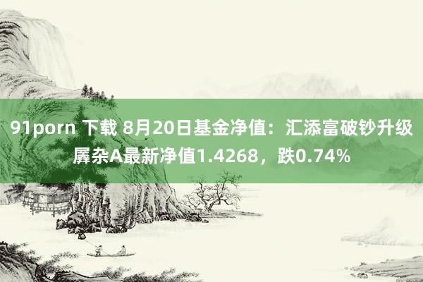 91porn 下载 8月20日基金净值：汇添富破钞升级羼杂A最新净值1.4268，跌0.74%