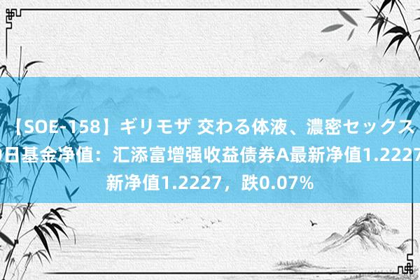 【SOE-158】ギリモザ 交わる体液、濃密セックス Ami 8月20日基金净值：汇添富增强收益债券A最新净值1.2227，跌0.07%