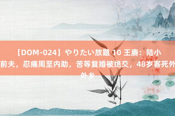 【DOM-024】やりたい放題 10 王赓：陆小曼前夫，忍痛周至内助，苦等复婚被绝交，48岁客死外乡