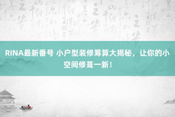 RINA最新番号 小户型装修筹算大揭秘，让你的小空间修葺一新！