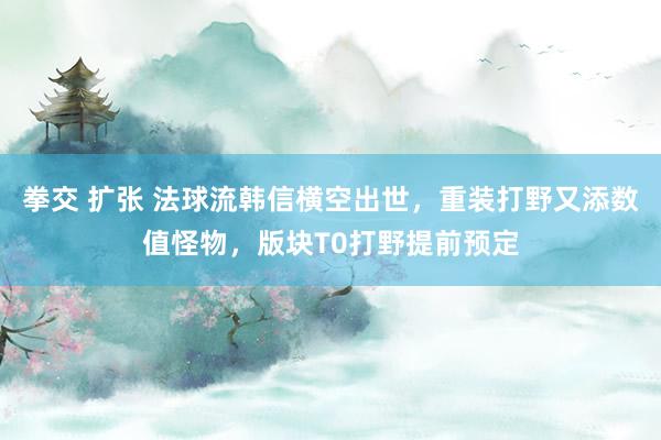 拳交 扩张 法球流韩信横空出世，重装打野又添数值怪物，版块T0打野提前预定