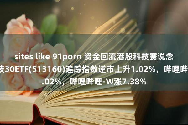 sites like 91porn 资金回流港股科技赛说念可期！港股科技30ETF(513160)追踪指数逆市上升1.02%，哔哩哔哩-W涨7.38%