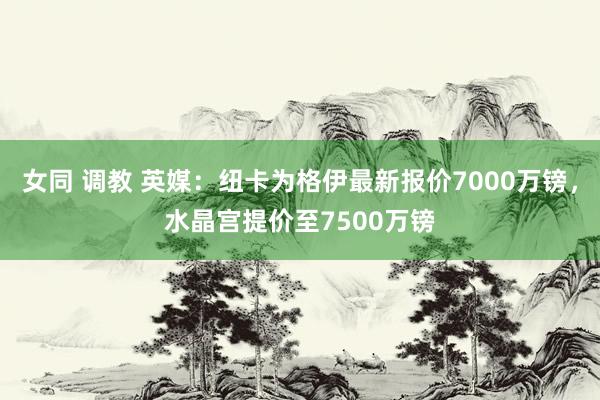 女同 调教 英媒：纽卡为格伊最新报价7000万镑，水晶宫提价至7500万镑