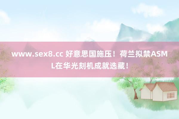 www.sex8.cc 好意思国施压！荷兰拟禁ASML在华光刻机成就选藏！