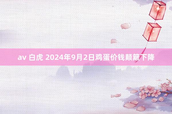 av 白虎 2024年9月2日鸡蛋价钱颠簸下降