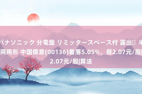 パナソニック 分電盤 リミッタースペース付 露出・半埋込両用形 中国儒意(00136)着落5.05%，报2.07元/股|算法