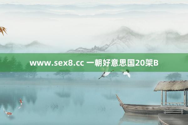 www.sex8.cc 一朝好意思国20架B