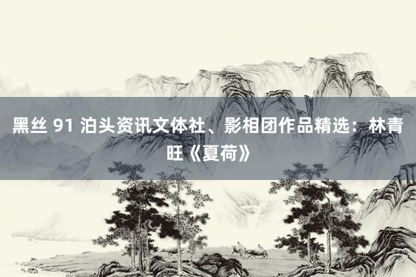 黑丝 91 泊头资讯文体社、影相团作品精选：林青旺《夏荷》