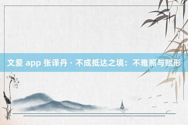 文爱 app 张译丹 · 不成抵达之境：不雅照与赋形