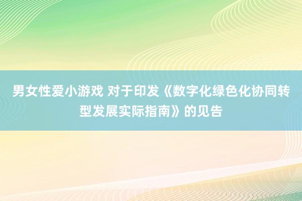 男女性爱小游戏 对于印发《数字化绿色化协同转型发展实际指南》的见告