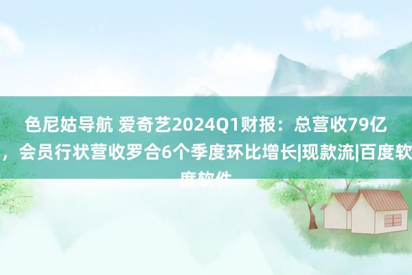 色尼姑导航 爱奇艺2024Q1财报：总营收79亿元，会员行状营收罗合6个季度环比增长|现款流|百度软件